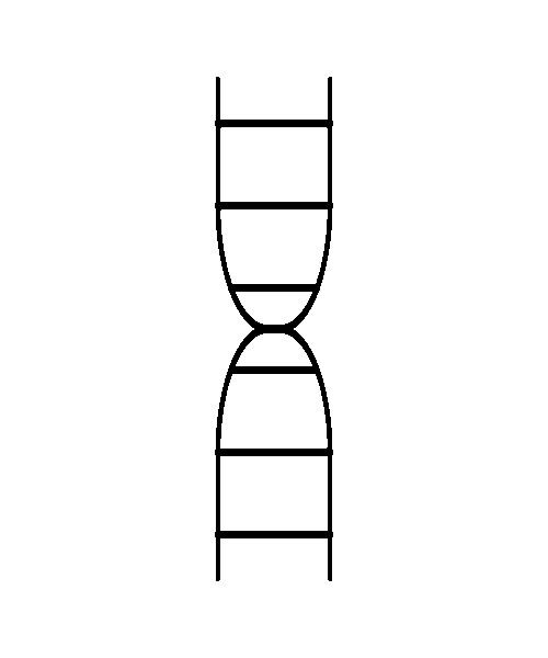 Related Animation